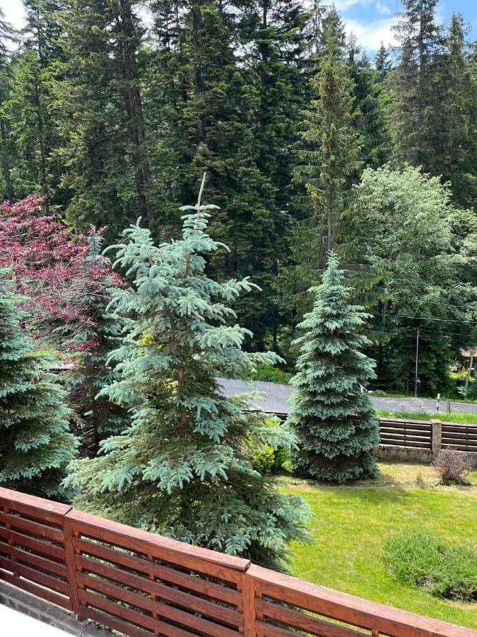 Vila 7 Predeal - Unique Location In The Forest Екстериор снимка