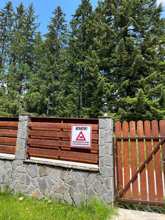 Vila 7 Predeal - Unique Location In The Forest Екстериор снимка